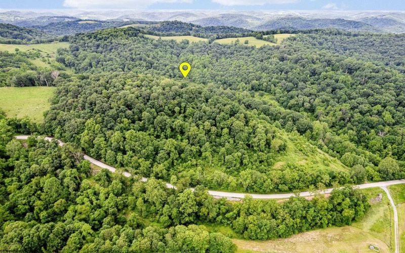 TBD Daybrook Road, Fairview, West Virginia 26570, ,Lots/land,For Sale,Daybrook,10160101
