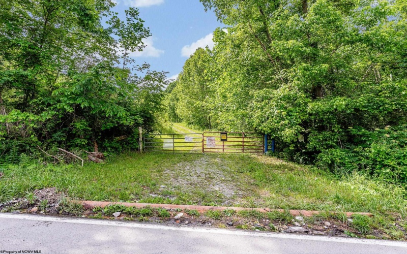 TBD Daybrook Road, Fairview, West Virginia 26570, ,Lots/land,For Sale,Daybrook,10160101