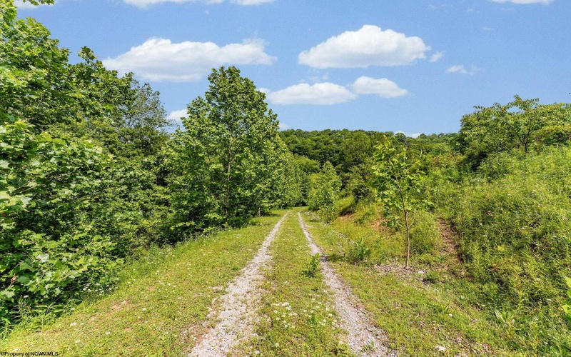 TBD Daybrook Road, Fairview, West Virginia 26570, ,Lots/land,For Sale,Daybrook,10160101