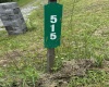 515 Deerbrook Lane, Belington, West Virginia 26250, ,Lots/land,For Sale,Deerbrook,10160102