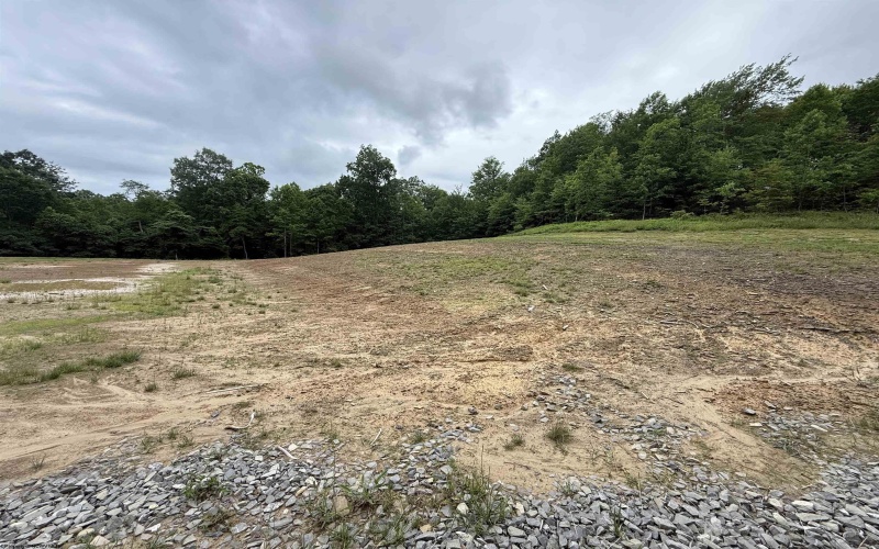 515 Deerbrook Lane, Belington, West Virginia 26250, ,Lots/land,For Sale,Deerbrook,10160102