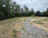 515 Deerbrook Lane, Belington, West Virginia 26250, ,Lots/land,For Sale,Deerbrook,10160102
