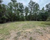 515 Deerbrook Lane, Belington, West Virginia 26250, ,Lots/land,For Sale,Deerbrook,10160102