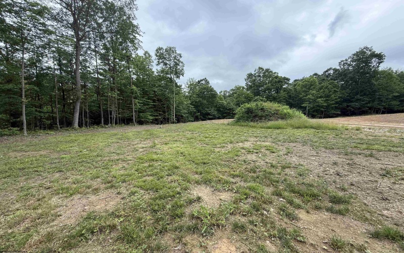 515 Deerbrook Lane, Belington, West Virginia 26250, ,Lots/land,For Sale,Deerbrook,10160102
