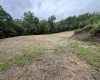 515 Deerbrook Lane, Belington, West Virginia 26250, ,Lots/land,For Sale,Deerbrook,10160102