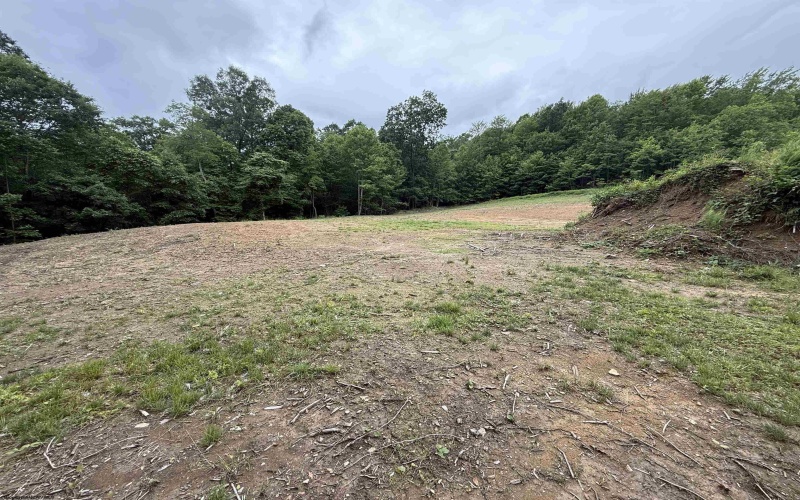 515 Deerbrook Lane, Belington, West Virginia 26250, ,Lots/land,For Sale,Deerbrook,10160102