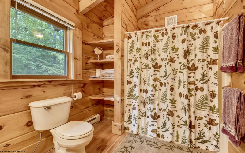 101 Pines Drive, Davis, West Virginia 26260, 2 Bedrooms Bedrooms, 6 Rooms Rooms,2 BathroomsBathrooms,Single Family Detached,For Sale,Pines,10160120
