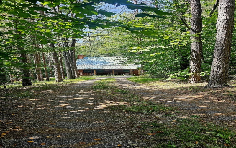 101 Pines Drive, Davis, West Virginia 26260, 2 Bedrooms Bedrooms, 6 Rooms Rooms,2 BathroomsBathrooms,Single Family Detached,For Sale,Pines,10160120