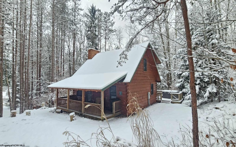 101 Pines Drive, Davis, West Virginia 26260, 2 Bedrooms Bedrooms, 6 Rooms Rooms,2 BathroomsBathrooms,Single Family Detached,For Sale,Pines,10160120