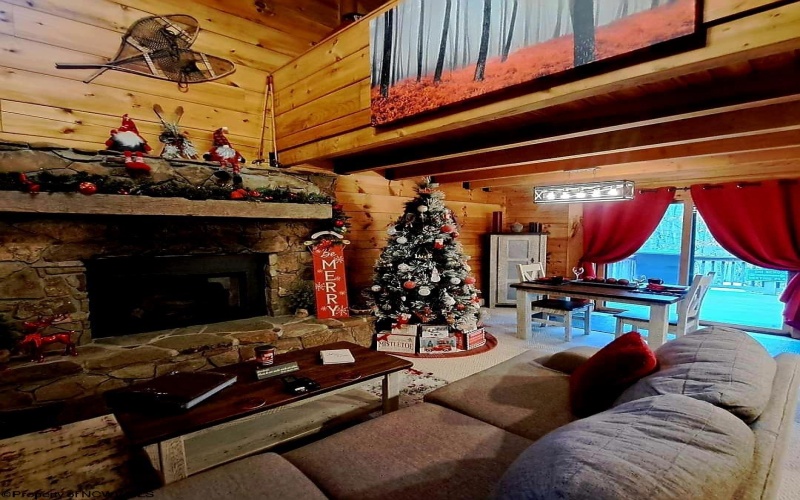 101 Pines Drive, Davis, West Virginia 26260, 2 Bedrooms Bedrooms, 6 Rooms Rooms,2 BathroomsBathrooms,Single Family Detached,For Sale,Pines,10160120