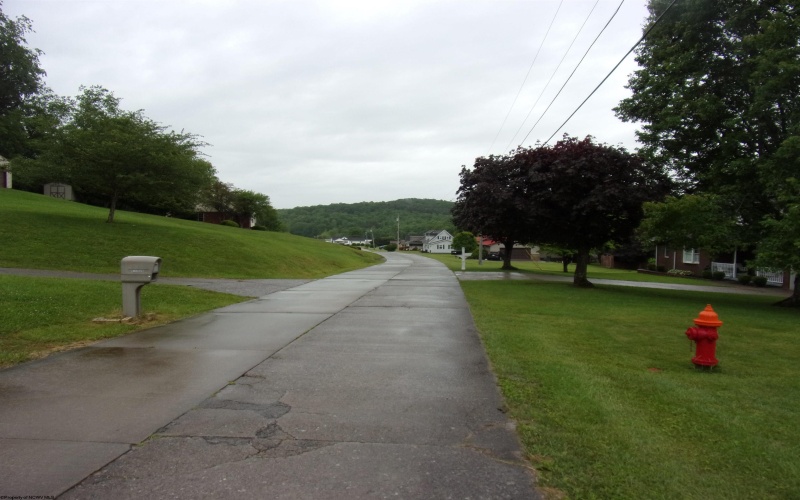 186 Eagle Street, Buckhannon, West Virginia 26201, 3 Bedrooms Bedrooms, 6 Rooms Rooms,1 BathroomBathrooms,Single Family Detached,For Sale,Eagle,10160125