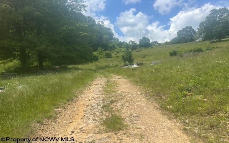 115 Abrams Drive, Belington, West Virginia 26250, 2 Bedrooms Bedrooms, 4 Rooms Rooms,1 BathroomBathrooms,Single Family Detached,For Sale,Abrams,10160126