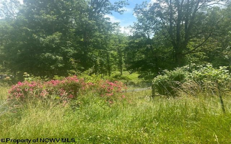 115 Abrams Drive, Belington, West Virginia 26250, 2 Bedrooms Bedrooms, 4 Rooms Rooms,1 BathroomBathrooms,Single Family Detached,For Sale,Abrams,10160126