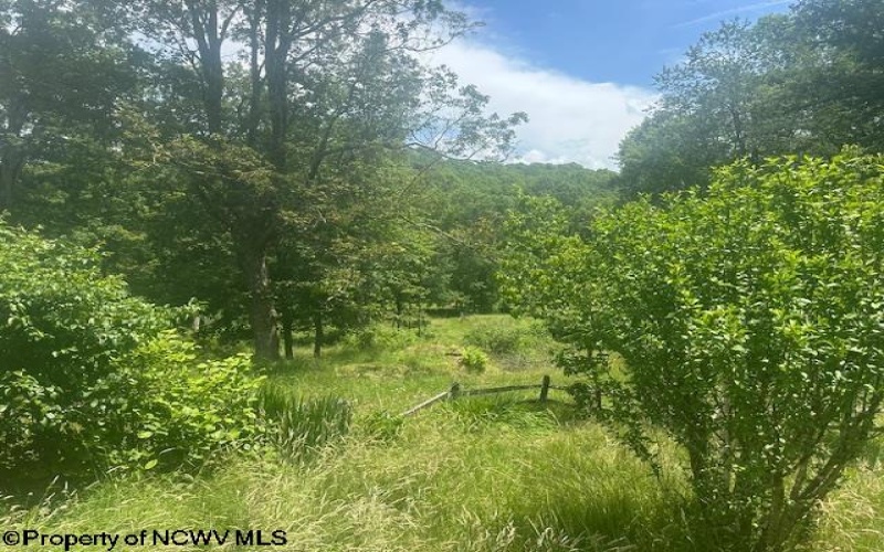 115 Abrams Drive, Belington, West Virginia 26250, 2 Bedrooms Bedrooms, 4 Rooms Rooms,1 BathroomBathrooms,Single Family Detached,For Sale,Abrams,10160126
