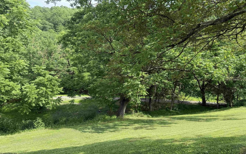 1115 LIMESTONE RUN Road, Clarksburg, West Virginia 26301, 2 Bedrooms Bedrooms, 7 Rooms Rooms,1 BathroomBathrooms,Single Family Detached,For Sale,LIMESTONE RUN,10160130