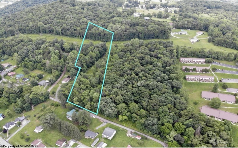 Lot 2 SHAW Street, Grafton, West Virginia 26354, ,Lots/land,For Sale,SHAW,10160132