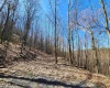 TBD Lynn Chapel Road, Grafton, West Virginia 26354, ,Lots/land,For Sale,Lynn Chapel,10160135