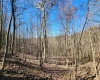TBD Lynn Chapel Road, Grafton, West Virginia 26354, ,Lots/land,For Sale,Lynn Chapel,10160135