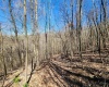 TBD Lynn Chapel Road, Grafton, West Virginia 26354, ,Lots/land,For Sale,Lynn Chapel,10160135