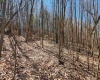 TBD Lynn Chapel Road, Grafton, West Virginia 26354, ,Lots/land,For Sale,Lynn Chapel,10160135
