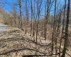 TBD Lynn Chapel Road, Grafton, West Virginia 26354, ,Lots/land,For Sale,Lynn Chapel,10160135