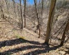 TBD Lynn Chapel Road, Grafton, West Virginia 26354, ,Lots/land,For Sale,Lynn Chapel,10160135