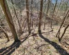 TBD Lynn Chapel Road, Grafton, West Virginia 26354, ,Lots/land,For Sale,Lynn Chapel,10160135