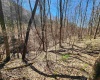TBD Lynn Chapel Road, Grafton, West Virginia 26354, ,Lots/land,For Sale,Lynn Chapel,10160135