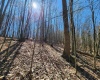 TBD Lynn Chapel Road, Grafton, West Virginia 26354, ,Lots/land,For Sale,Lynn Chapel,10160135