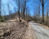 TBD Lynn Chapel Road, Grafton, West Virginia 26354, ,Lots/land,For Sale,Lynn Chapel,10160135