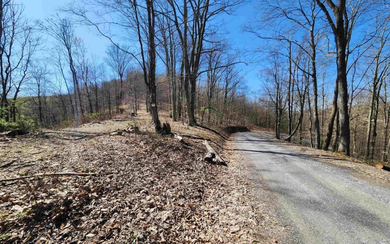TBD Lynn Chapel Road, Grafton, West Virginia 26354, ,Lots/land,For Sale,Lynn Chapel,10160135