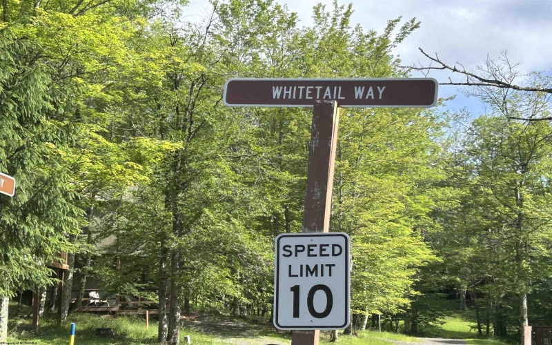72 Whitetail Way, Davis, West Virginia 26260, 2 Bedrooms Bedrooms, 3 Rooms Rooms,1 BathroomBathrooms,Single Family Detached,For Sale,Whitetail,10160133