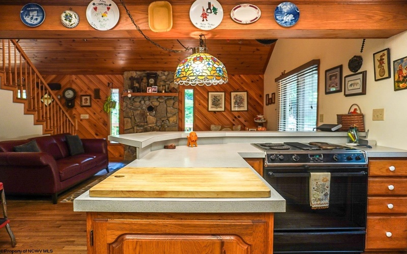 229 Brown Road, Grafton, West Virginia 26354, 3 Bedrooms Bedrooms, 10 Rooms Rooms,3 BathroomsBathrooms,Single Family Detached,For Sale,Brown,10160163