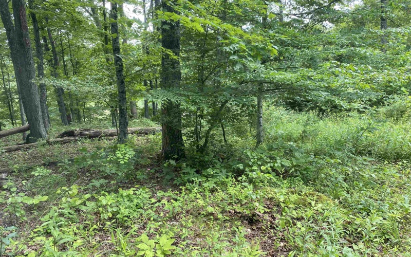 52 Ladder Drive, Mount Clare, West Virginia 26408, 3 Bedrooms Bedrooms, 9 Rooms Rooms,2 BathroomsBathrooms,Single Family Detached,For Sale,Ladder,10160149