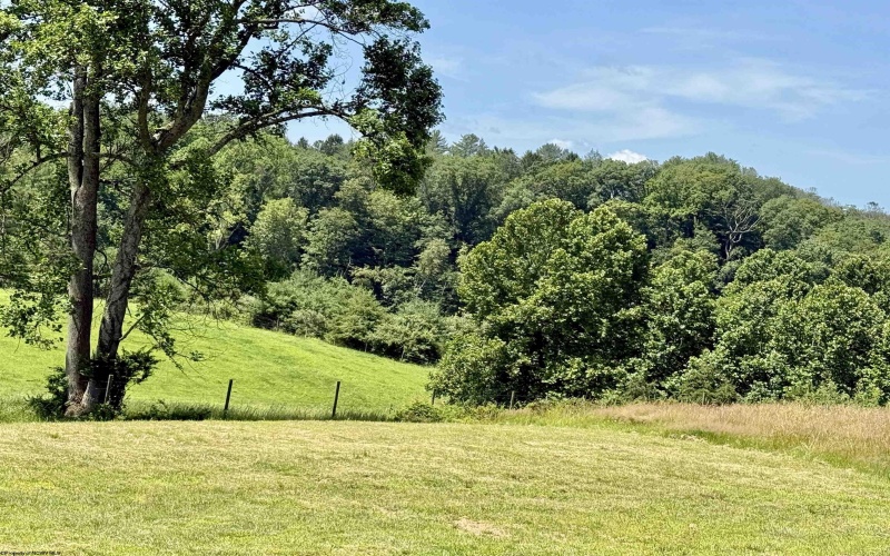 3170 Victory Ridge Road, Harrisville, West Virginia 26362, 5 Bedrooms Bedrooms, 11 Rooms Rooms,2 BathroomsBathrooms,Single Family Detached,For Sale,Victory Ridge,10160148