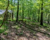85 Anemone Lane, Terra Alta, West Virginia 26764, 2 Bedrooms Bedrooms, 7 Rooms Rooms,2 BathroomsBathrooms,Single Family Detached,For Sale,Anemone,10160151