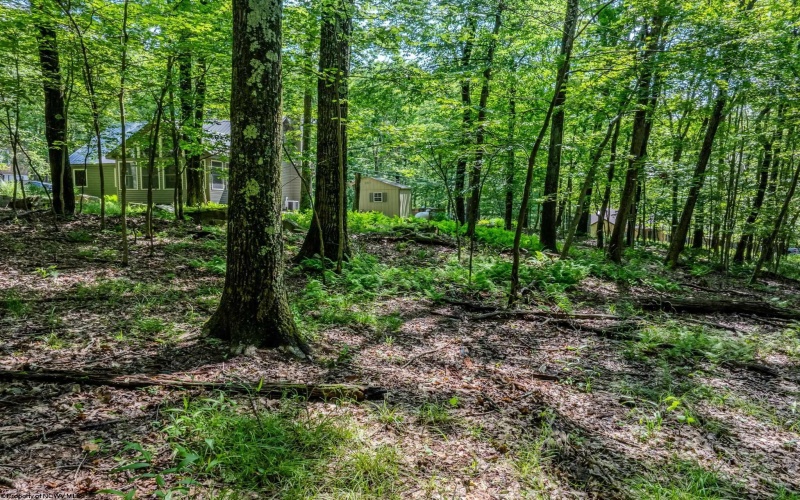 85 Anemone Lane, Terra Alta, West Virginia 26764, 2 Bedrooms Bedrooms, 7 Rooms Rooms,2 BathroomsBathrooms,Single Family Detached,For Sale,Anemone,10160151