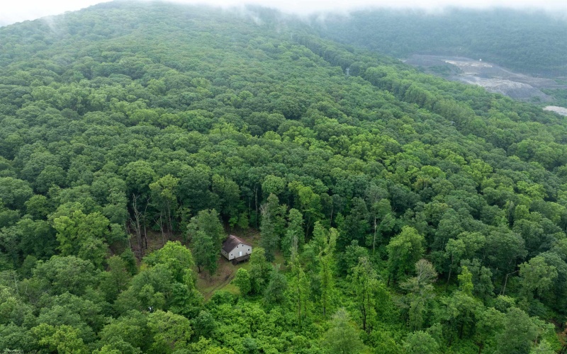 000 Sand Springs Road, Morgantown, West Virginia 26508, ,Lots/land,For Sale,Sand Springs,10160168