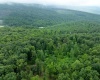 000 Sand Springs Road, Morgantown, West Virginia 26508, ,Lots/land,For Sale,Sand Springs,10160168