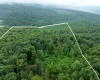 000 Sand Springs Road, Morgantown, West Virginia 26508, ,Lots/land,For Sale,Sand Springs,10160168