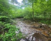 TBD Indian Fork Creek, Parsons, West Virginia 26287, ,Lots/land,For Sale,Indian Fork,10160171