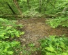TBD Indian Fork Creek, Parsons, West Virginia 26287, ,Lots/land,For Sale,Indian Fork,10160171