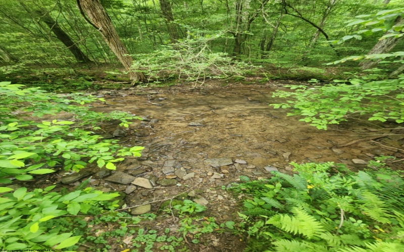 TBD Indian Fork Creek, Parsons, West Virginia 26287, ,Lots/land,For Sale,Indian Fork,10160171