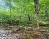 TBD Indian Fork Creek, Parsons, West Virginia 26287, ,Lots/land,For Sale,Indian Fork,10160171
