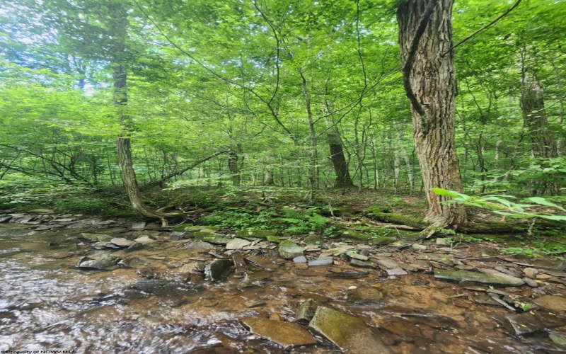 TBD Indian Fork Creek, Parsons, West Virginia 26287, ,Lots/land,For Sale,Indian Fork,10160171