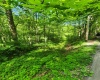TBD Indian Fork Creek, Parsons, West Virginia 26287, ,Lots/land,For Sale,Indian Fork,10160171