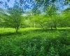 TBD Indian Fork Creek, Parsons, West Virginia 26287, ,Lots/land,For Sale,Indian Fork,10160171