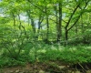 TBD Indian Fork Creek, Parsons, West Virginia 26287, ,Lots/land,For Sale,Indian Fork,10160171
