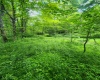 TBD Indian Fork Creek, Parsons, West Virginia 26287, ,Lots/land,For Sale,Indian Fork,10160171