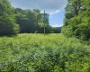 TBD Indian Fork Creek, Parsons, West Virginia 26287, ,Lots/land,For Sale,Indian Fork,10160171